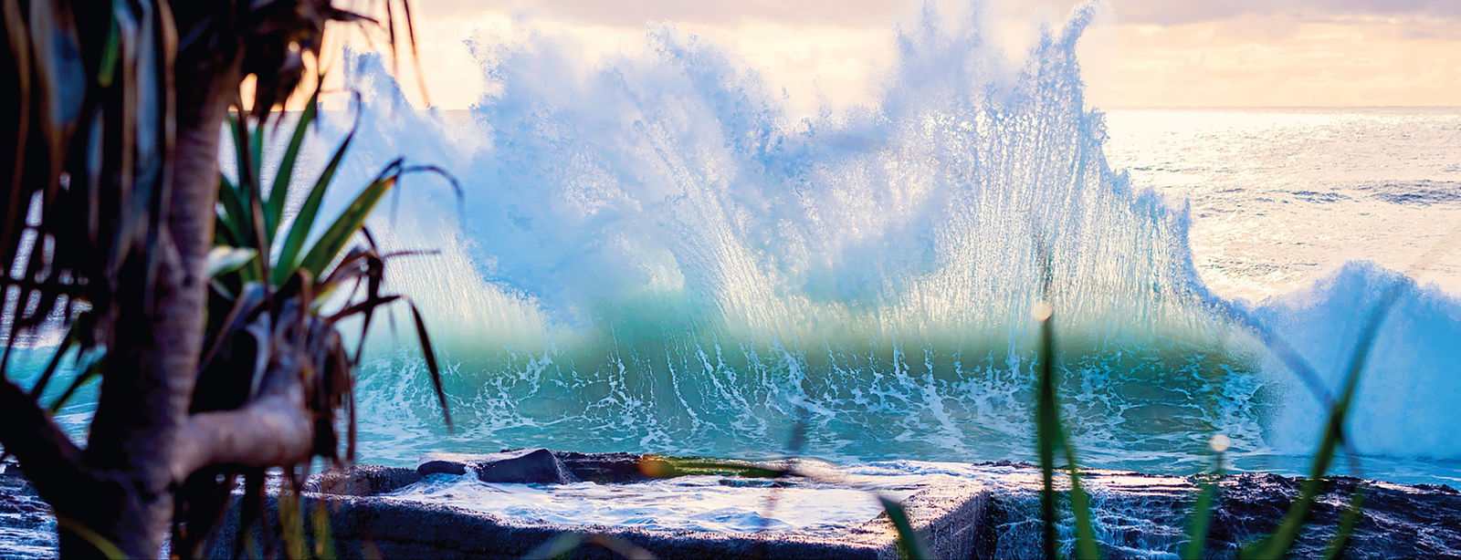 Tugun QLD Tweed Heads Accommodation