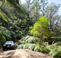 Wadbilliga Road drive - Tweed Heads Accommodation