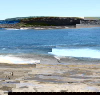Wasp Head Picnic Area - Tweed Heads Accommodation