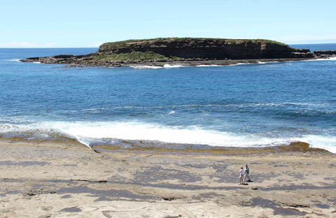 Wasp Head Picnic Area - Tweed Heads Accommodation 0