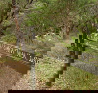 Waterfall Gully - Kings Falls Circuit Walk