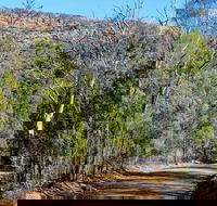 Weddin Gap to Black Spring Loop Trail - Tweed Heads Accommodation