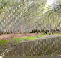 Wonga Wetlands - Tweed Heads Accommodation
