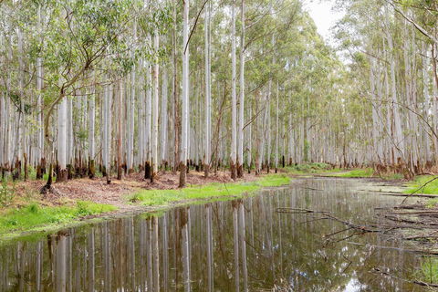 Wonga Wetlands - Tweed Heads Accommodation 0