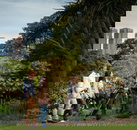 Aboriginal Heritage Walk - Tweed Heads Accommodation