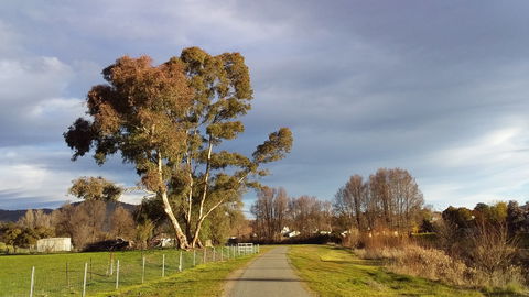 Adelong Falls Walk - Tweed Heads Accommodation 0