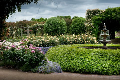 Alowyn Gardens And Nursery - Tweed Heads Accommodation 1