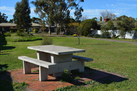 Apex Park & Picnic Area - Tweed Heads Accommodation 1