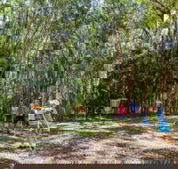 Ballina Disc Golf - Tweed Heads Accommodation