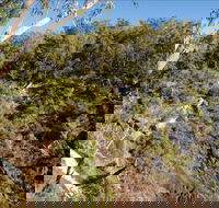 Boonoo Boonoo Falls picnic area - Tweed Heads Accommodation