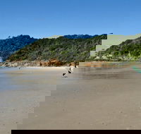 Broken Head Nature Reserve - Tweed Heads Accommodation