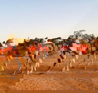 Broken Hill Camels - Tweed Heads Accommodation