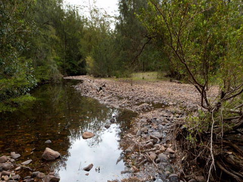 Budawang National Park - Tweed Heads Accommodation 0