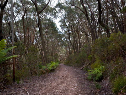 Budawang National Park - Tweed Heads Accommodation 1