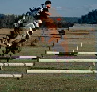 Camden Bicentennial Equestrian Park - Tweed Heads Accommodation