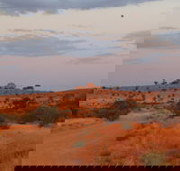 Castle Rock walk and Lookout - Tweed Heads Accommodation