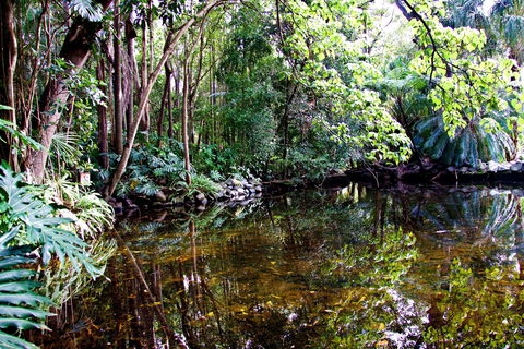 Cascade Gardens - Tweed Heads Accommodation 2