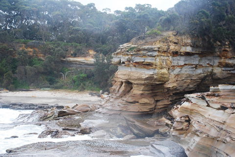 Cookies Beach Picnic Area - South Durras - Tweed Heads Accommodation 2
