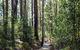 Coopernook Forest HQ - thumb 1