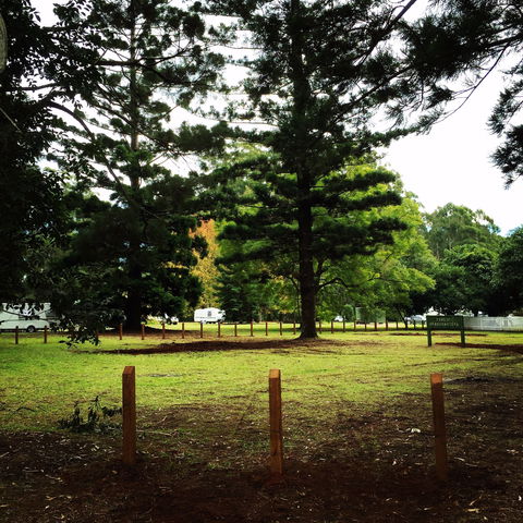 Coopernook Forest HQ - Tweed Heads Accommodation 2