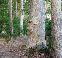 Delta Track - Tweed Heads Accommodation