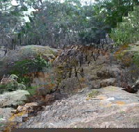 Dergholm State Park - Tweed Heads Accommodation