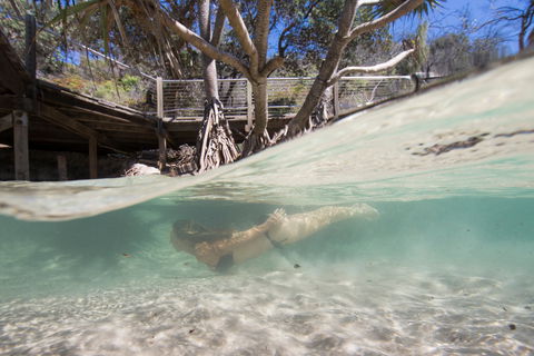 Eli Creek - Tweed Heads Accommodation 2