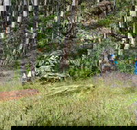 Federal Falls Walk - Tweed Heads Accommodation