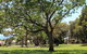 Flinders Park Playground - thumb 0