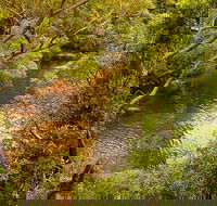 Girrakool loop track - Tweed Heads Accommodation