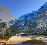 Grenfell Endemic Garden - Tweed Heads Accommodation