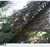 Henty Government Dam Nature Reserve - Tweed Heads Accommodation