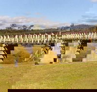 Historic Tabulam DeBurgh Timber Bridge - Tweed Heads Accommodation