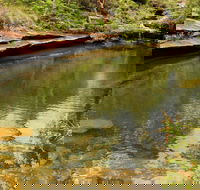 Hominy Creek Walking Track - Tweed Heads Accommodation