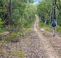 Kangaroo River Walking Track - Tweed Heads Accommodation