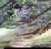 Kidsons Cycles - Tweed Heads Accommodation