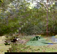Long Gully picnic area - Tweed Heads Accommodation