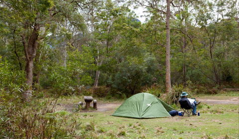 Long Gully Picnic Area - Tweed Heads Accommodation 0