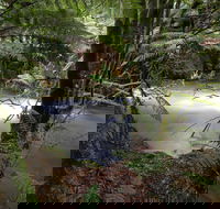 Marriotts Falls and Junee Caves - Tweed Heads Accommodation