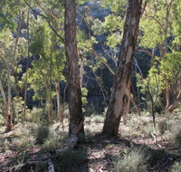 Mount Gray walking track - Tweed Heads Accommodation