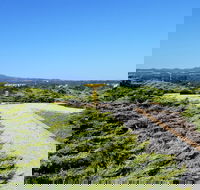 Mt Lindsay Rotary Park - Tweed Heads Accommodation