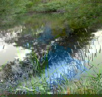 Mullion Range State Conservation Area - Tweed Heads Accommodation