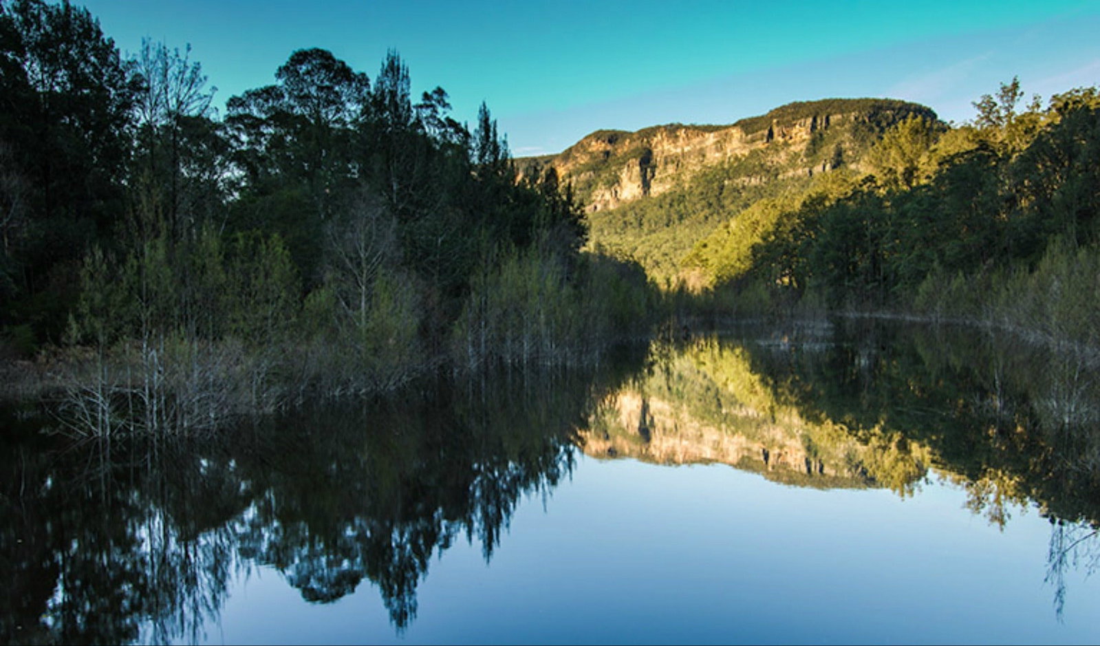 Wattle Ridge NSW Tweed Heads Accommodation
