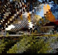 Orange Botanic Gardens - Tweed Heads Accommodation
