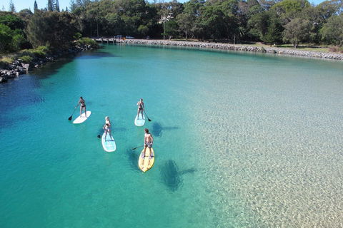Paddleboard At Back Creek South West Rocks - Tweed Heads Accommodation 0