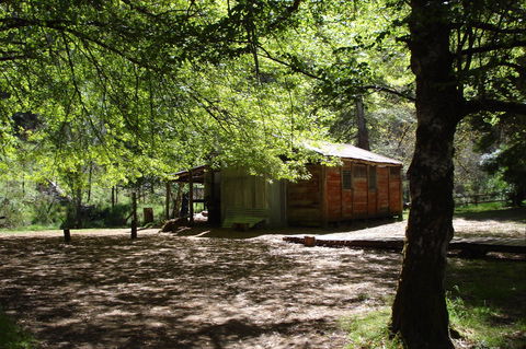 Pickering's Hut And Camping Area - Tweed Heads Accommodation 0