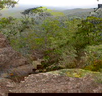 Pigeon House Mountain Didthul Walking Track - Tweed Heads Accommodation