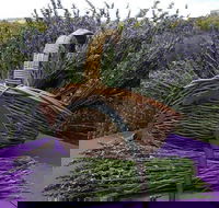 Rustique Lavender Farm - Tweed Heads Accommodation
