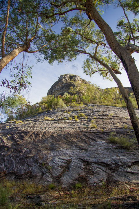 Salvator Rosa, Carnarvon National Park - Tweed Heads Accommodation 1