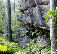 She-Oak Crossing Walk - Tweed Heads Accommodation